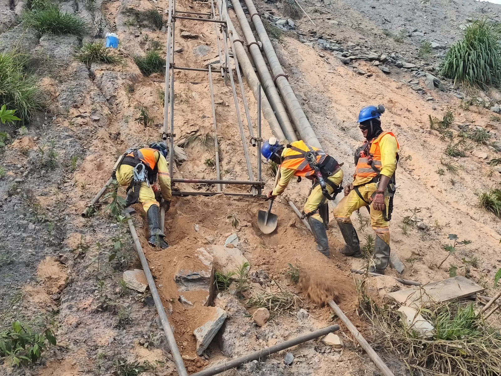 240920267563971_20260924_094119_0.webp