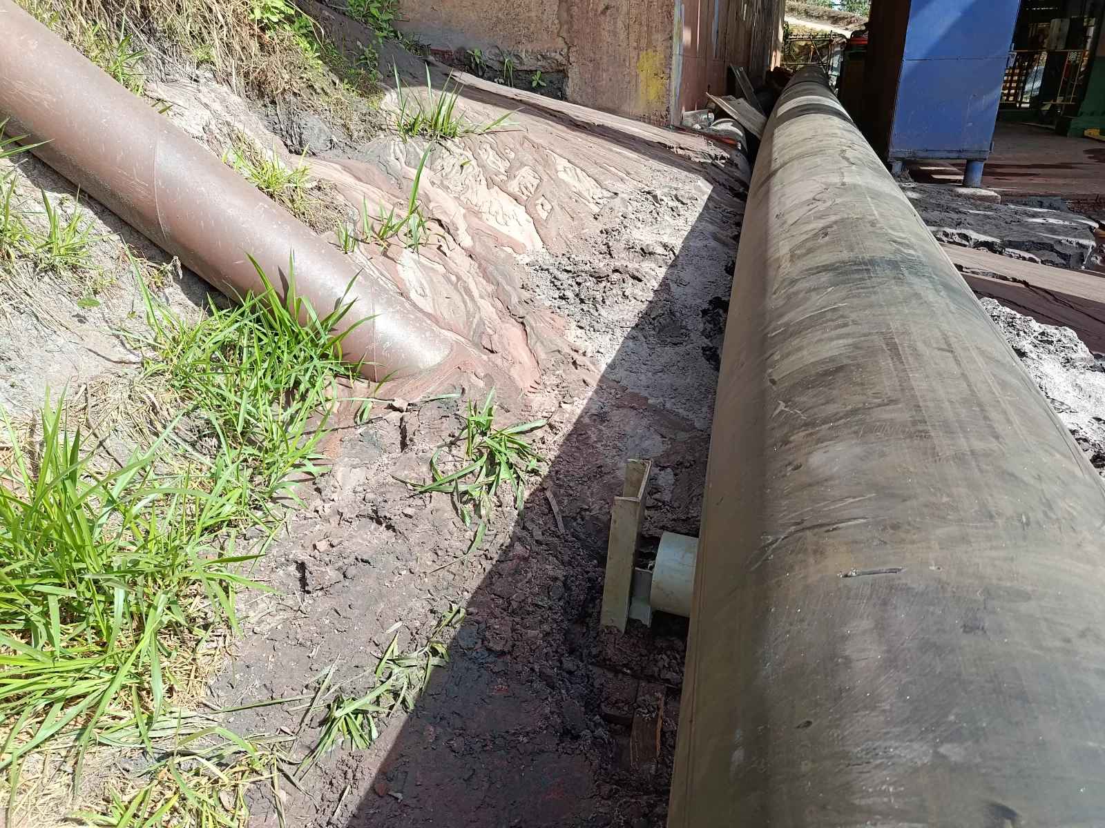 6938454_27082026.webp